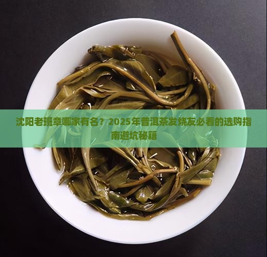 沈阳老班章哪家有名