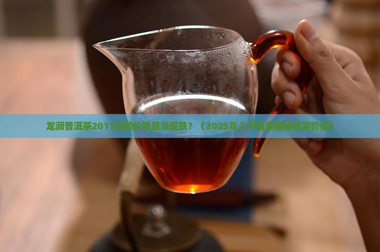 龙润普洱茶2011年价格