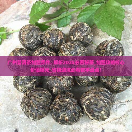 广州普洱茶加盟条件