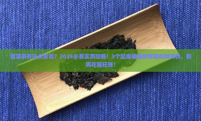 普洱茶有白点发霉