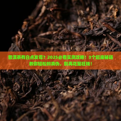 普洱茶有白点发霉