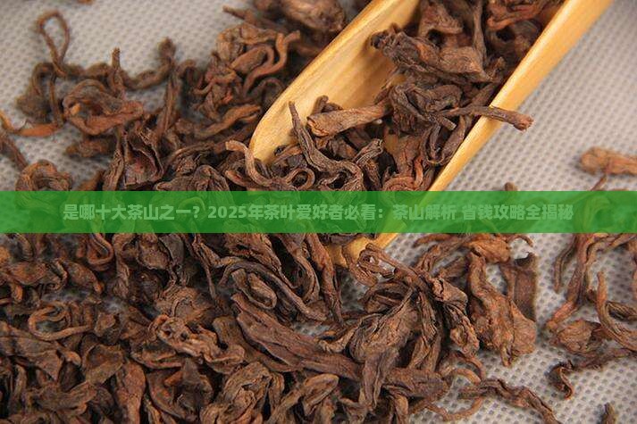 是哪十大茶山之一