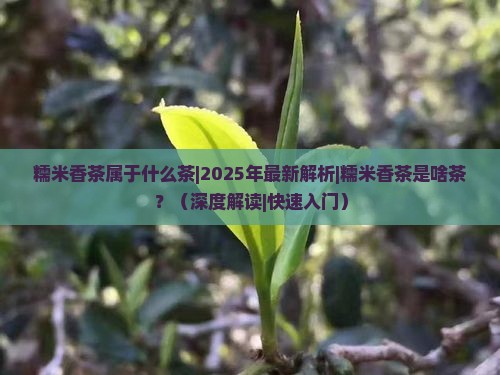 糯米香茶属于什么茶