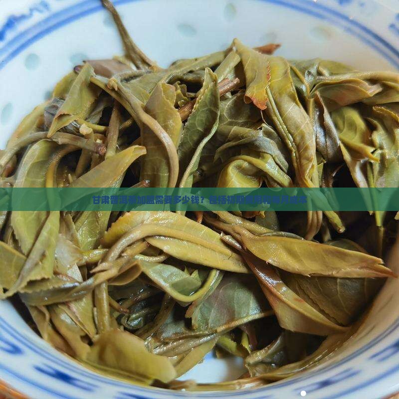 甘肃普洱茶加盟需要多少钱
