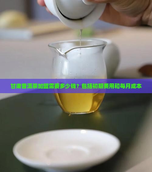 甘肃普洱茶加盟需要多少钱
