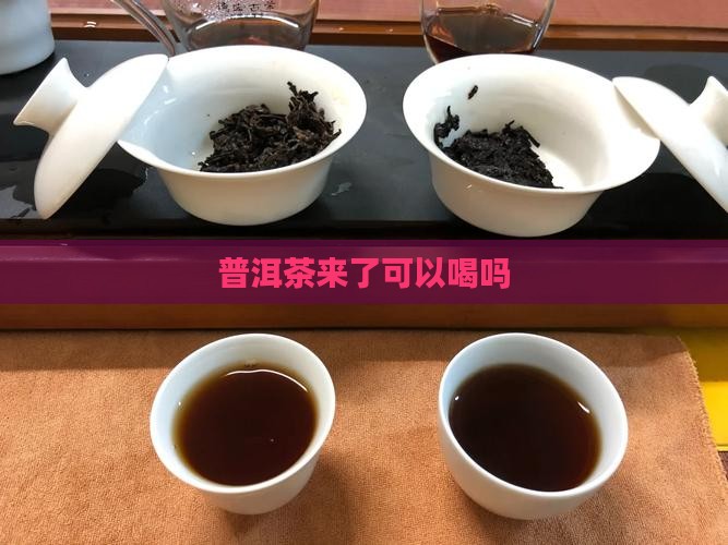 来事能喝普洱茶么