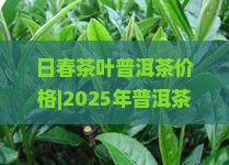 日春茶叶普洱茶价格