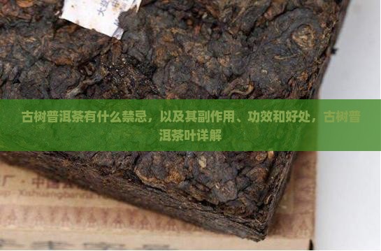 古树普洱茶有什么禁忌