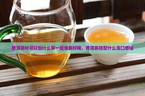 普洱茶叶可以加什么茶