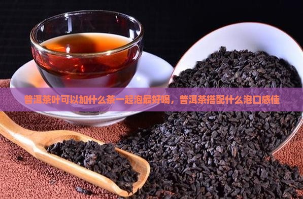 普洱茶叶可以加什么茶