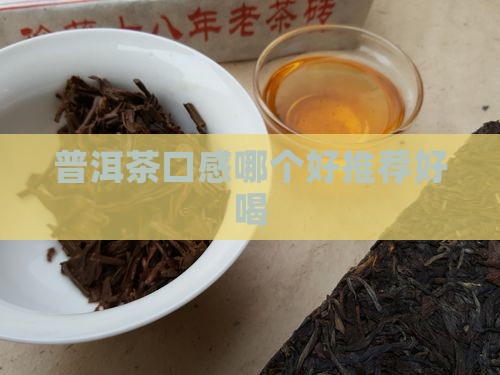 普洱茶口味哪个好