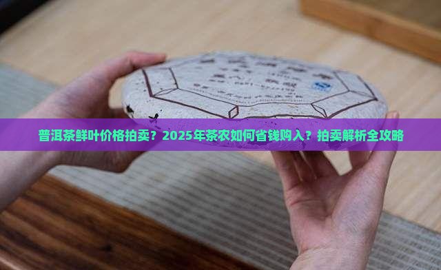普洱茶鲜叶价格拍卖