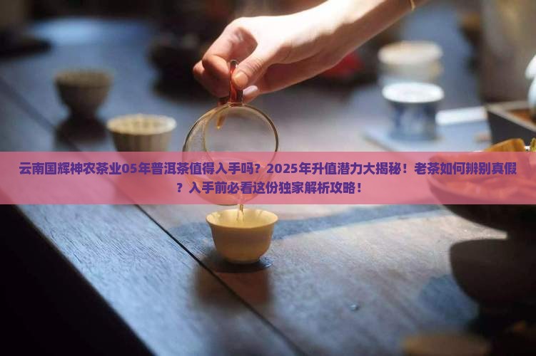 云南国辉神农茶业05年普洱茶