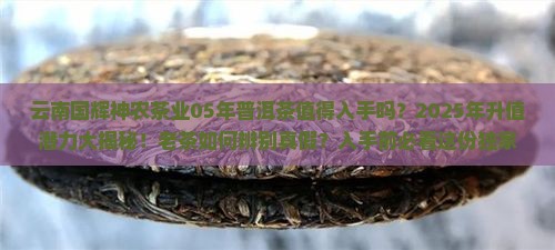 云南国辉神农茶业05年普洱茶
