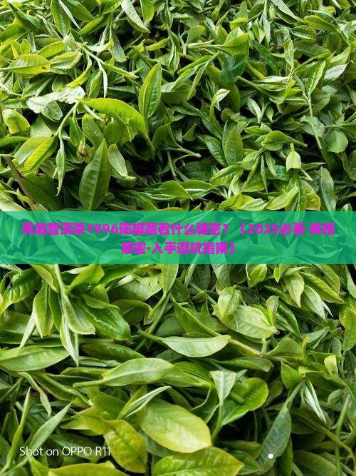 凤临普洱茶1996陶罐