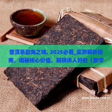 普洱茶勐海之味