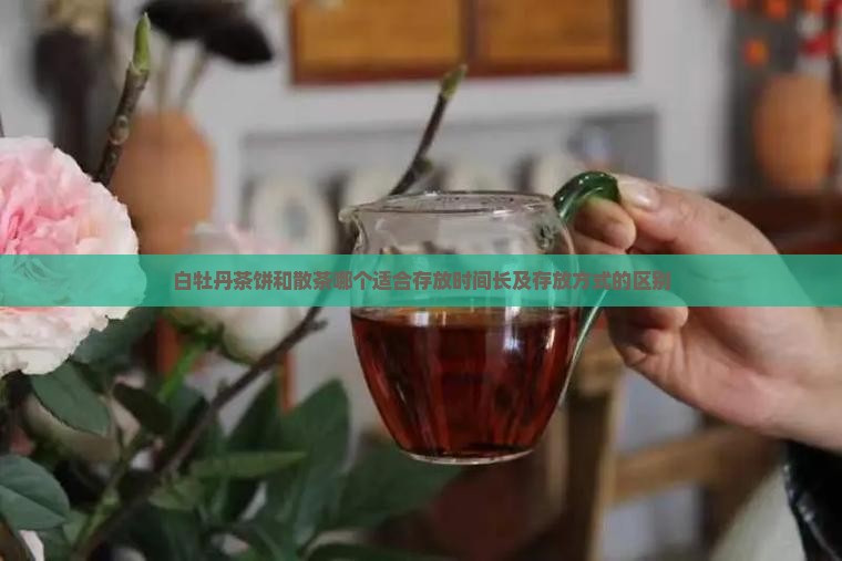 白牡丹茶饼和散茶哪个适合存放