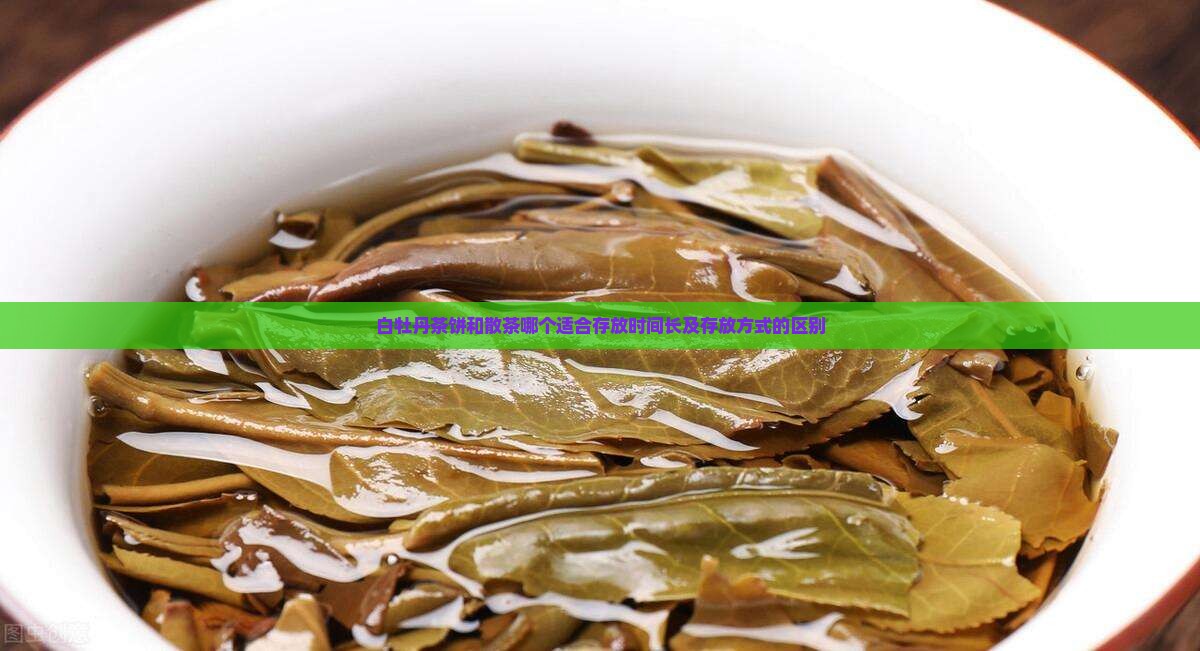 白牡丹茶饼和散茶哪个适合存放