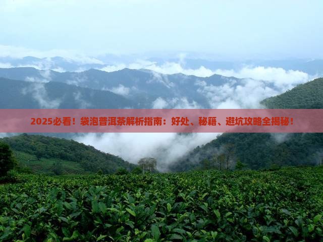 袋泡普洱茶有什么好处