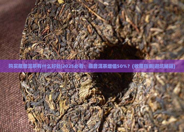 购买藏普洱茶有什么好处