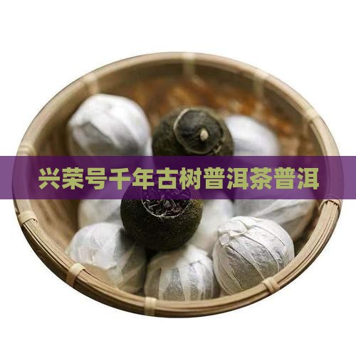 兴荣号普洱茶千年古树