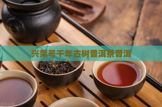 兴荣号普洱茶千年古树