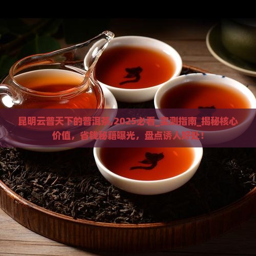 昆明云普天下的普洱茶