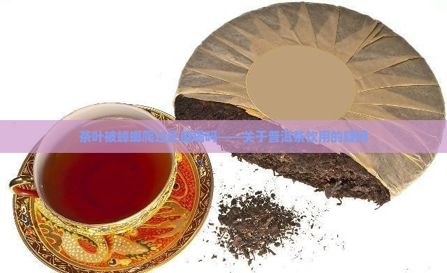 茶叶被蟑螂爬过还能喝吗