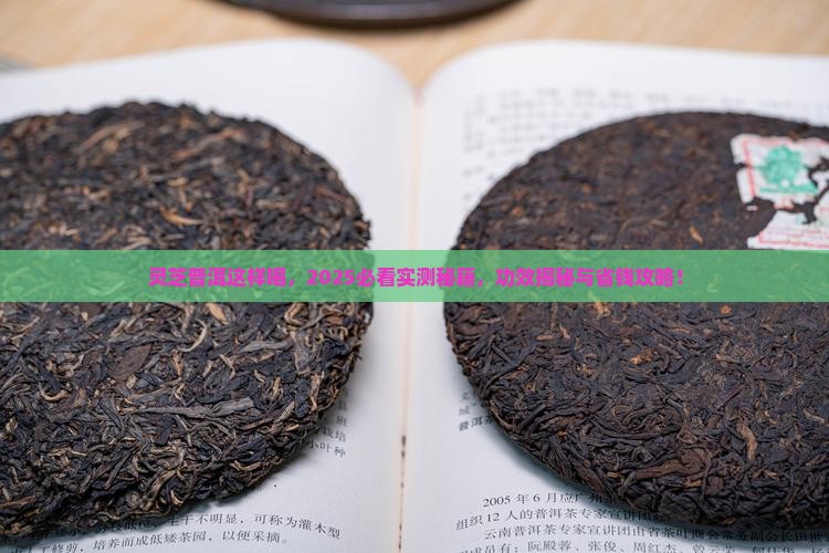 灵芝与普洱茶一起喝