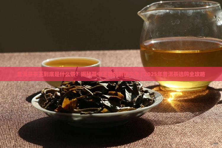 普洱茶茶王是什么茶