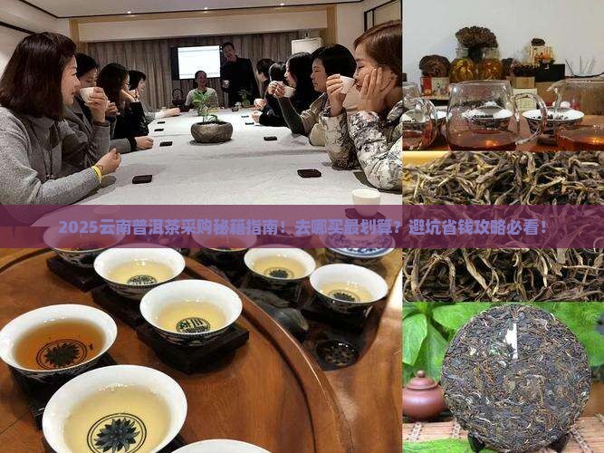 在云南去哪里进普洱茶
