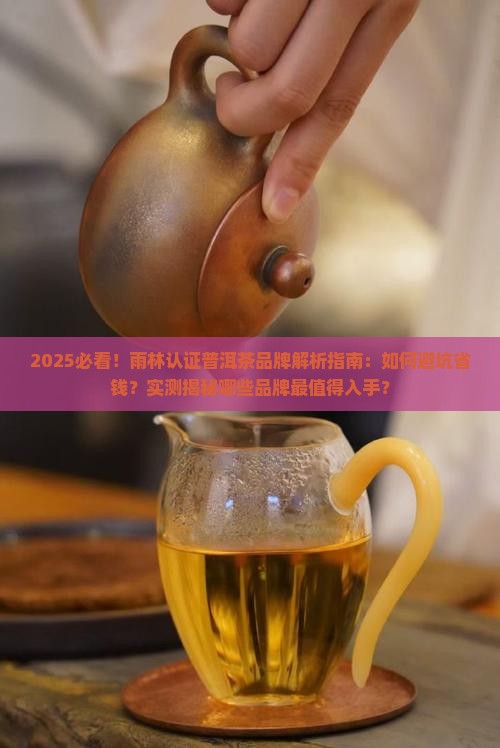 雨林认证普洱茶品牌有哪些