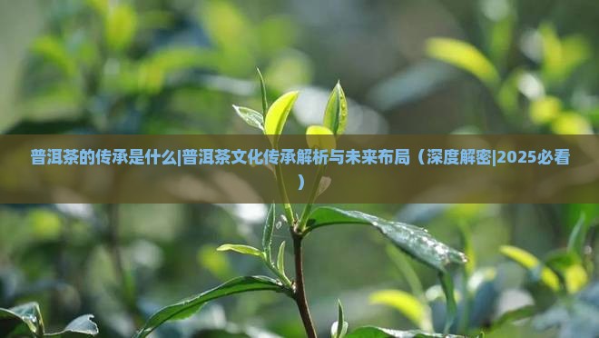 普洱茶的传承是什么