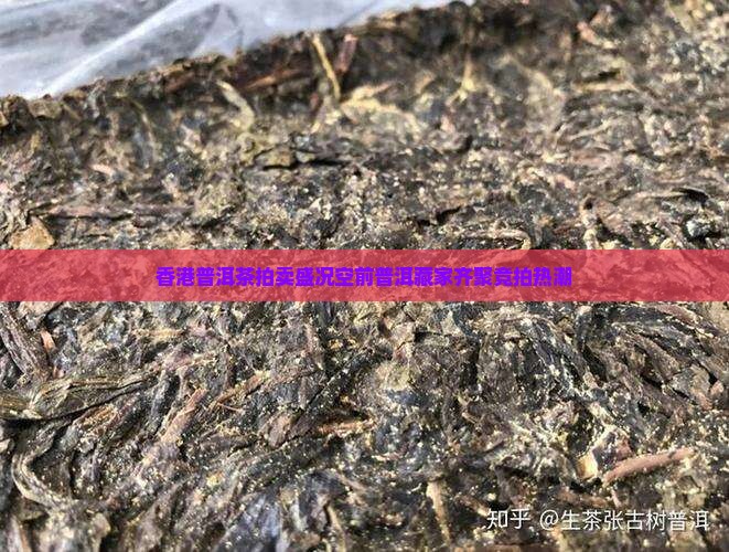 香港普洱茶拍卖