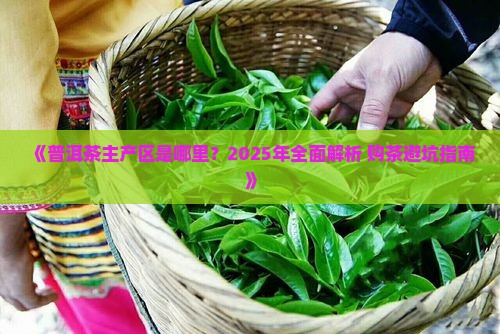 哪里是普洱茶的主产区