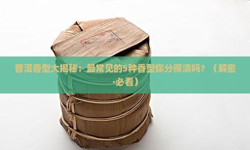 普洱香型之最常见的5种