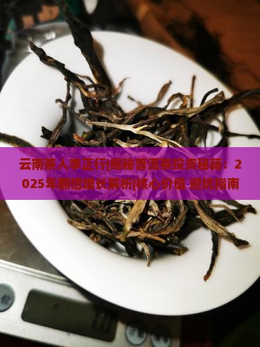 云南茶人李正行