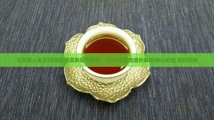 云南茶人李正行