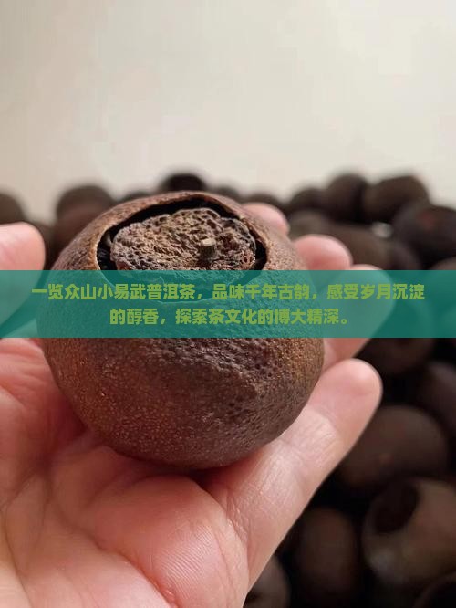 一览众山小易武普洱茶