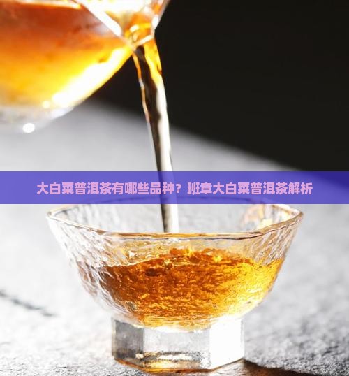 大白菜普洱茶有几款品种