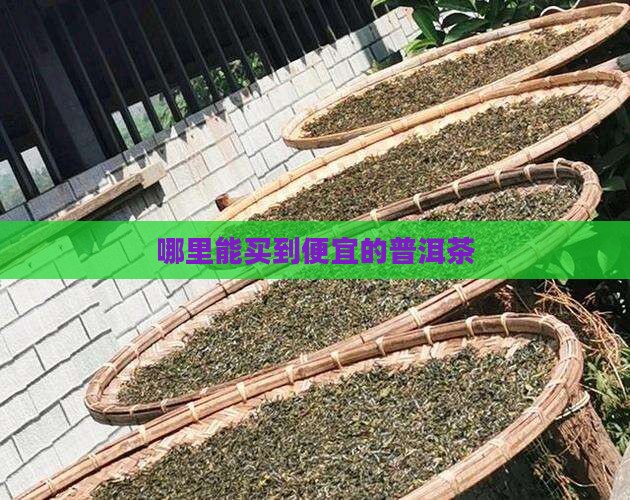 到哪儿买普洱茶便宜