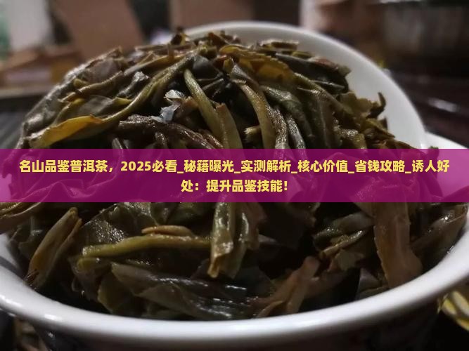 名山品鉴普洱茶