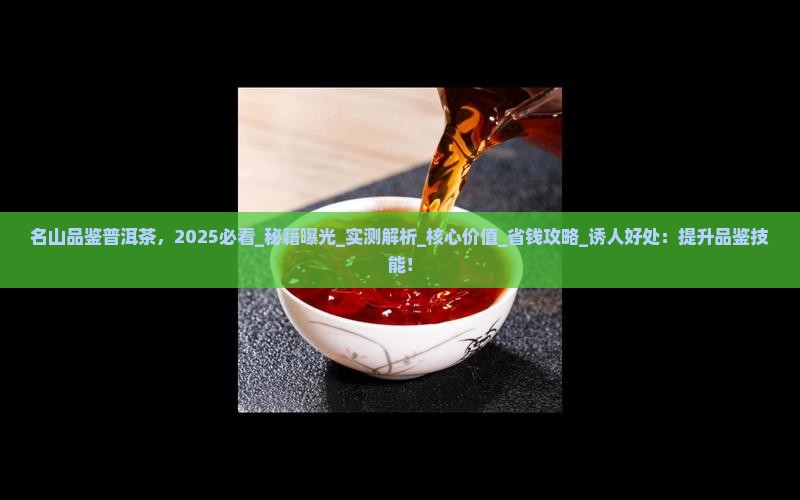 名山品鉴普洱茶