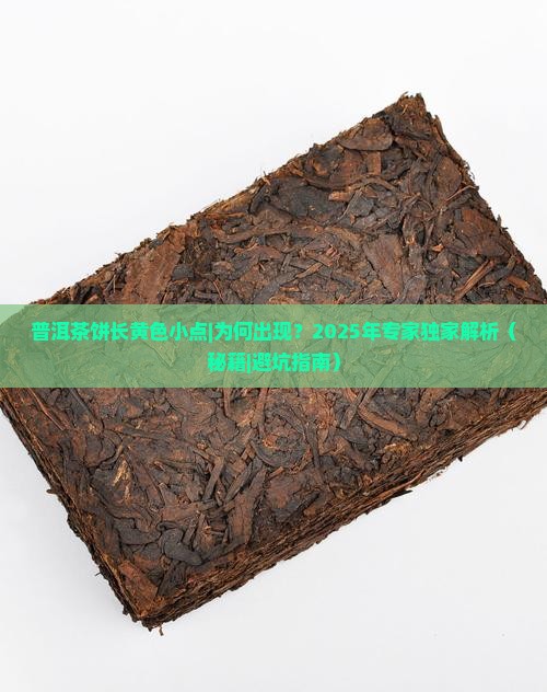 普洱茶饼长黄色小点