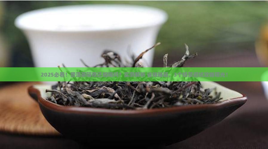普洱茶可以隔夜吗
