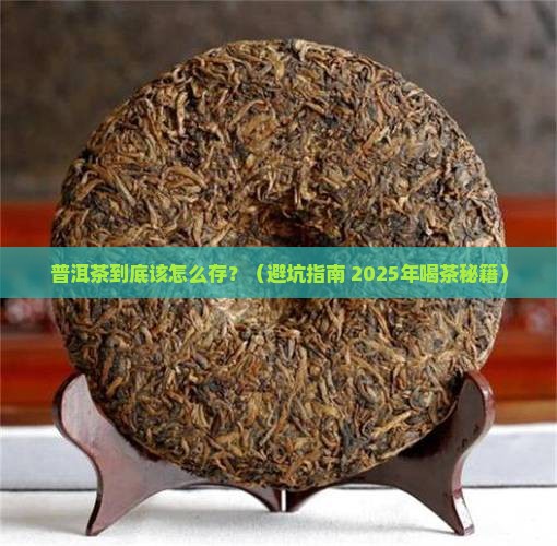 平时喝的普洱茶怎么放