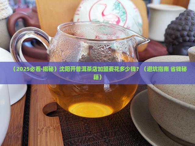 沈阳普洱茶代理加盟多少钱