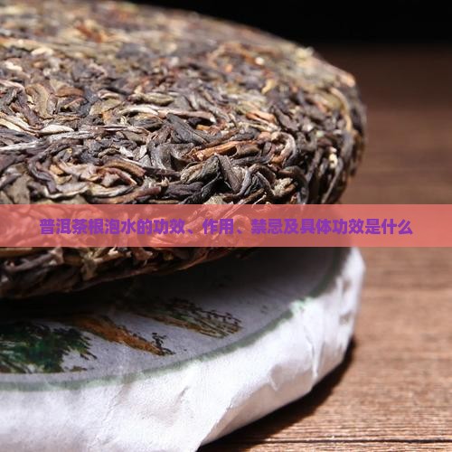 普洱茶根泡水的功效