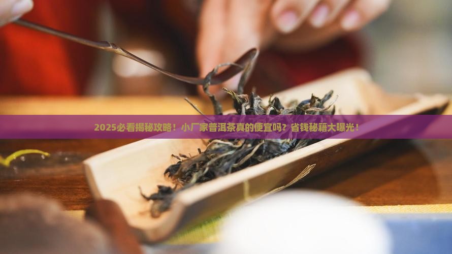 普洱茶小厂家便宜吗