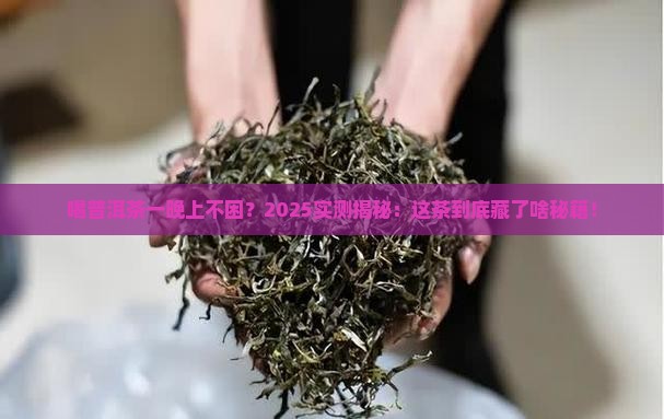 喝普洱茶一晚上没困